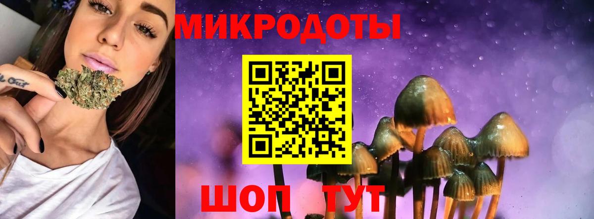 Псилоцибиновые грибы Magic Shrooms  Вход с VPN  Галлюциногенные грибы GOLDEN TEACHER  Полысаево 